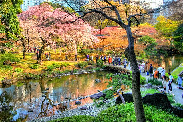 Beautiful Tokyo: 20 Must-Visit Places in Tokyo 17 Top 20 Places To Visit In Tokyo